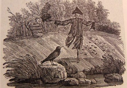 Figure 2 Bewick Scarecrow