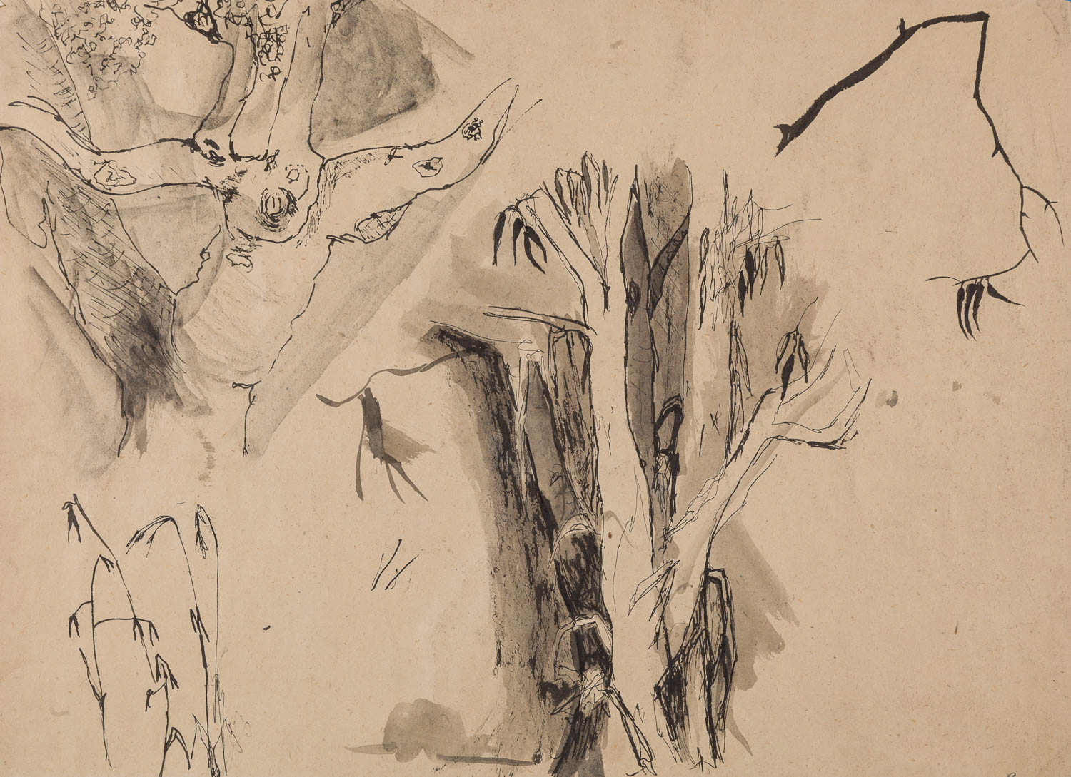 Art teacher Robert Frame taught Barbara Kemp Cowlin discipline while inspiring students. This is her sketch of eucalyptus trees from her studies with him.