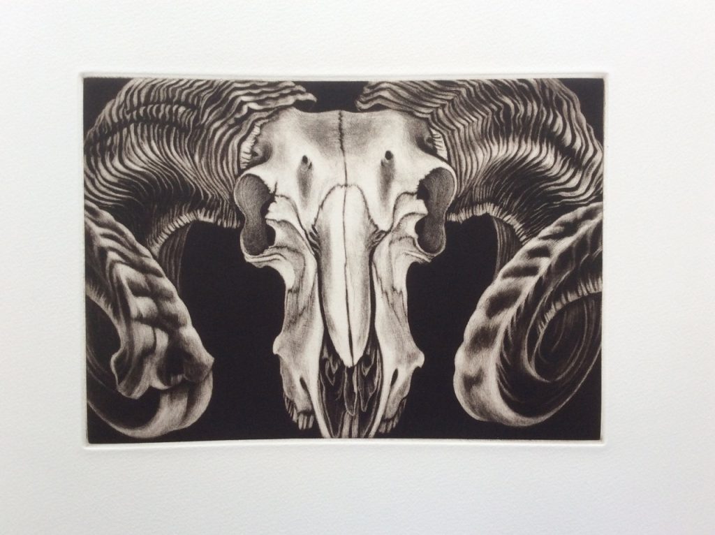 The Art of Mezzotint Printmaking