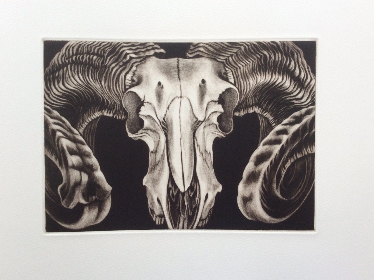 fig-6-skullplate-print